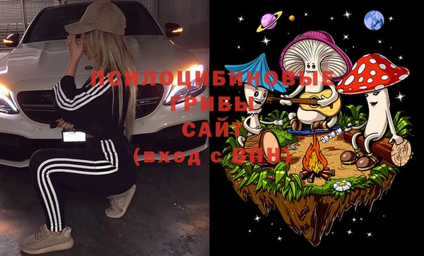 амф Медвежьегорск