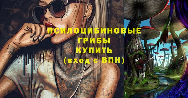 амф Медвежьегорск