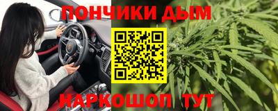 шишки Краснодар