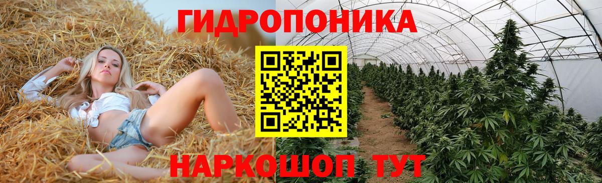 Конопля Bruce Banner  Канабис тримм  Вход с VPN  МАРИХУАНА AK-47  Каменск-Уральский 